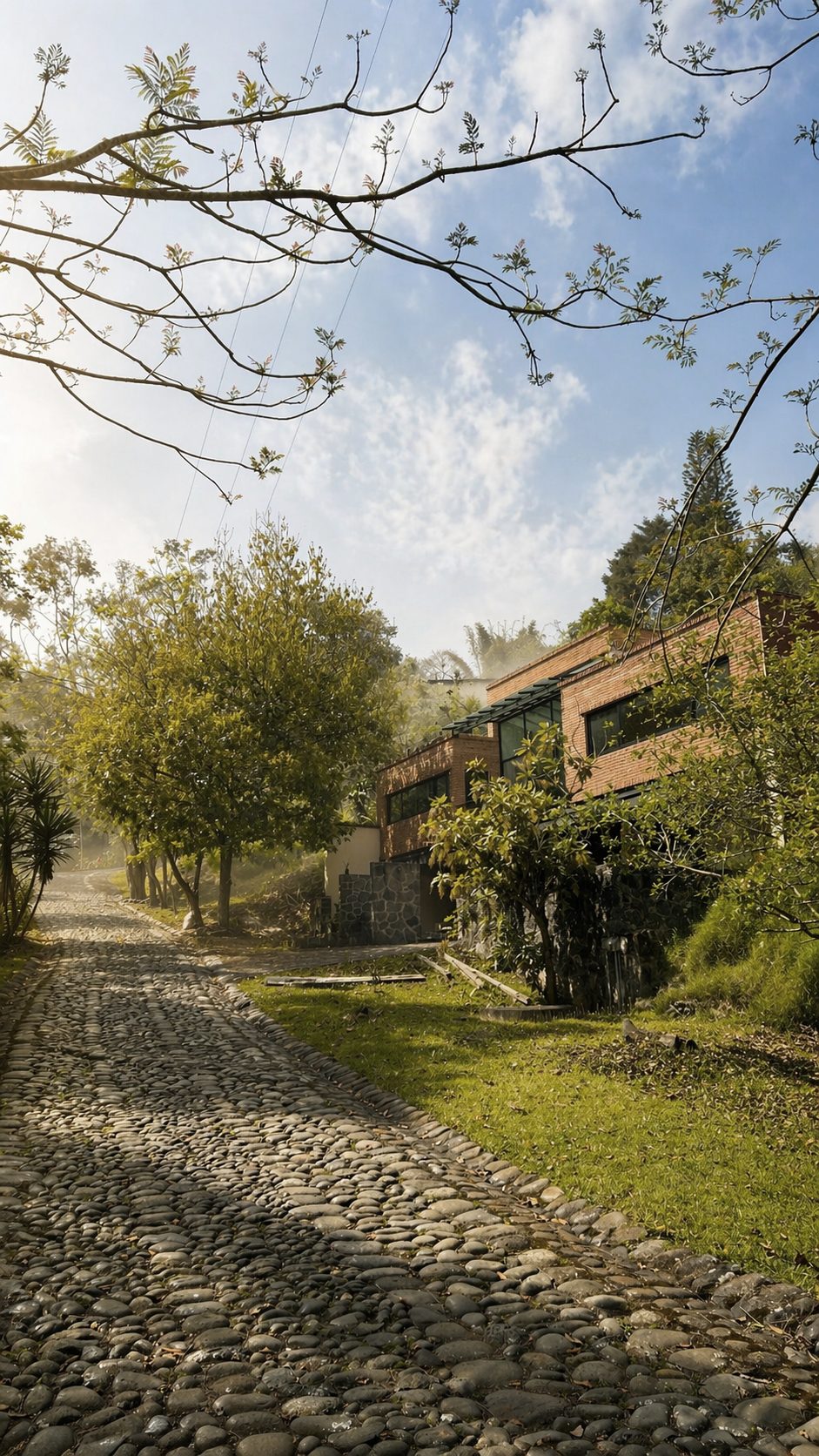 Casa entre el bosque