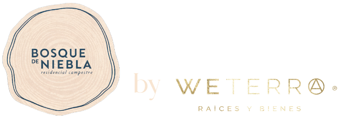 Bosque de Niebla by Weterra