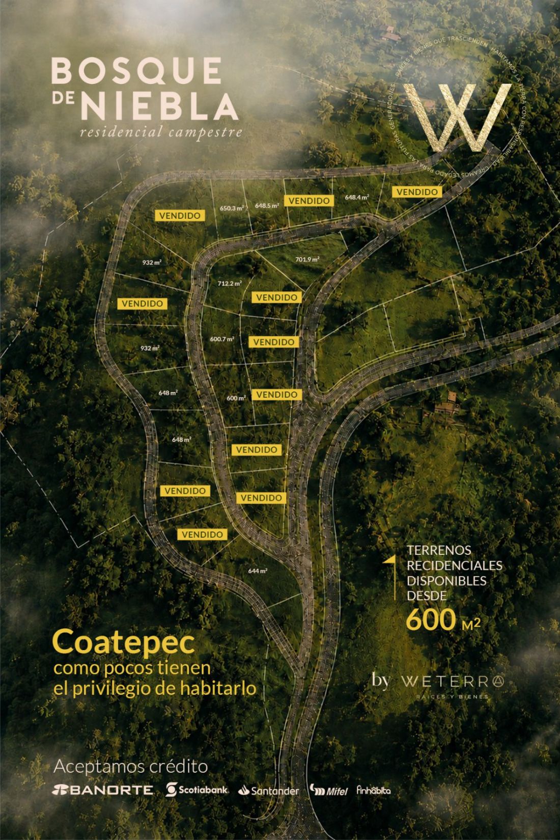 Masterplan de Bosque de Niebla, Coatepec